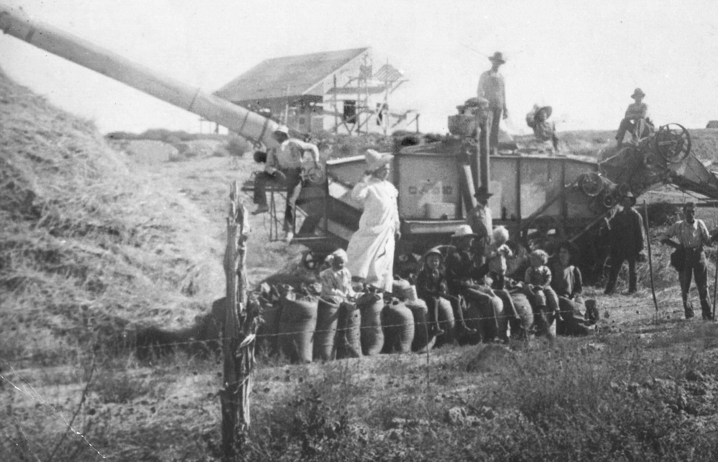 Camiseta OverSize DBZ Majin Vegeta