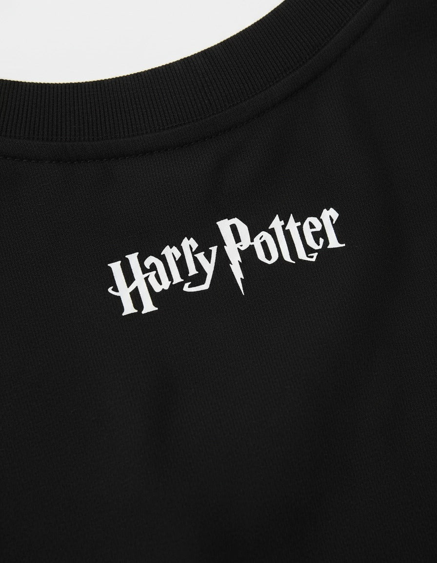 Camiseta Hombre Potter X