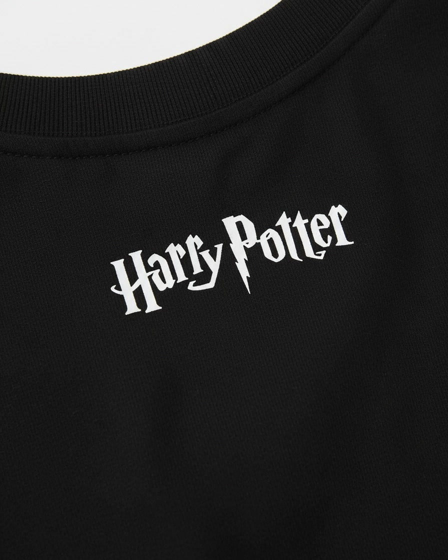 Camiseta Hombre Potter X